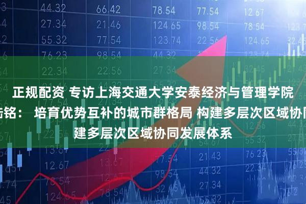 正规配资 专访上海交通大学安泰经济与管理学院特聘教授陆铭： 培育优势互补的城市群格局 构建多层次区域协同发展体系